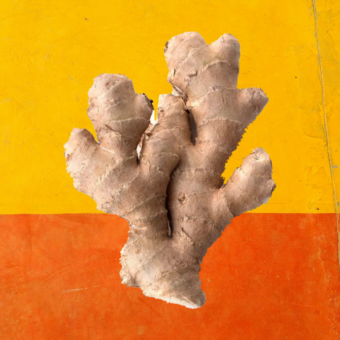 Why is ginger good for our gut health and general well-being?